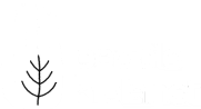 People N Planet